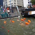 IMG_1549315