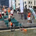 IMG_1549324