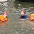IMG_1549337