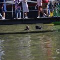 IMG_1549348