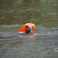IMG_1549356