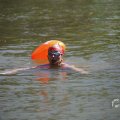 IMG_1549357