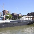 IMG_1549363