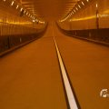 IMG_1553429