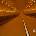 IMG_1553431