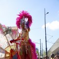 IMG_1554757