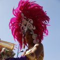 IMG_1554765