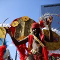 IMG_1554797