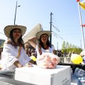 IMG_1555036