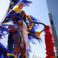 IMG_1555236