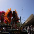 IMG_1555460