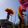 IMG_1555464