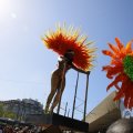 IMG_1555465