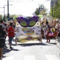 IMG_1555471