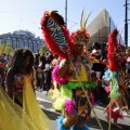 IMG_1555651