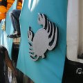 IMG_1555929