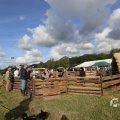 IMG_1557380