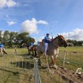 IMG_1557401