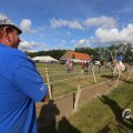 IMG_1557414