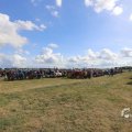 IMG_1558363