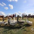 IMG_1558413