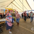 IMG_1558849