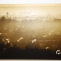 IMG_1563199