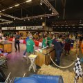 IMG_1569005