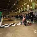 IMG_1569101