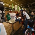 IMG_1569407