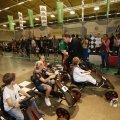 IMG_1569736