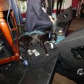 IMG_1570447