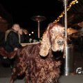 IMG_1575510