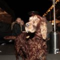 IMG_1575512