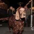 IMG_1575513