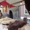 IMG_1574754