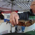 IMG_1574771
