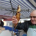 IMG_1574773