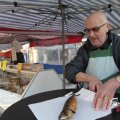 IMG_1574774