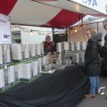 IMG_1574842