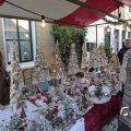 IMG_1574888