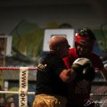 IMG_2764