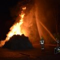 DSC033_09.01.2019