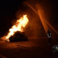 DSC041_09.01.2019
