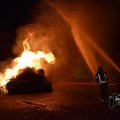 DSC043_09.01.2019