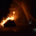 DSC044_09.01.2019