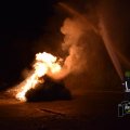 DSC045_09.01.2019