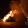 DSC046_09.01.2019