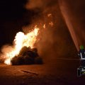DSC048_09.01.2019