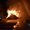 DSC049_09.01.2019